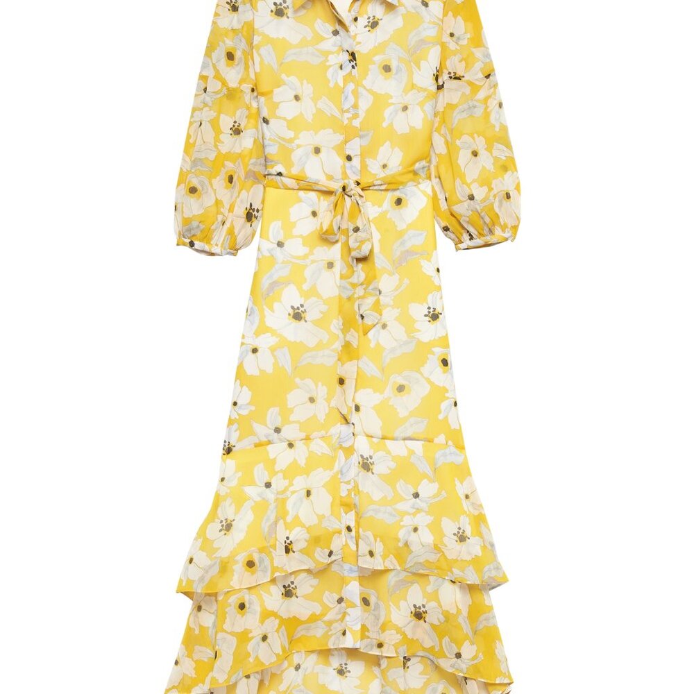 Banana Republic Floral Tiered Maxi Shirt Dress Size 4